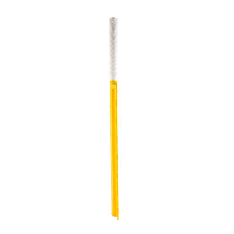CatchBat