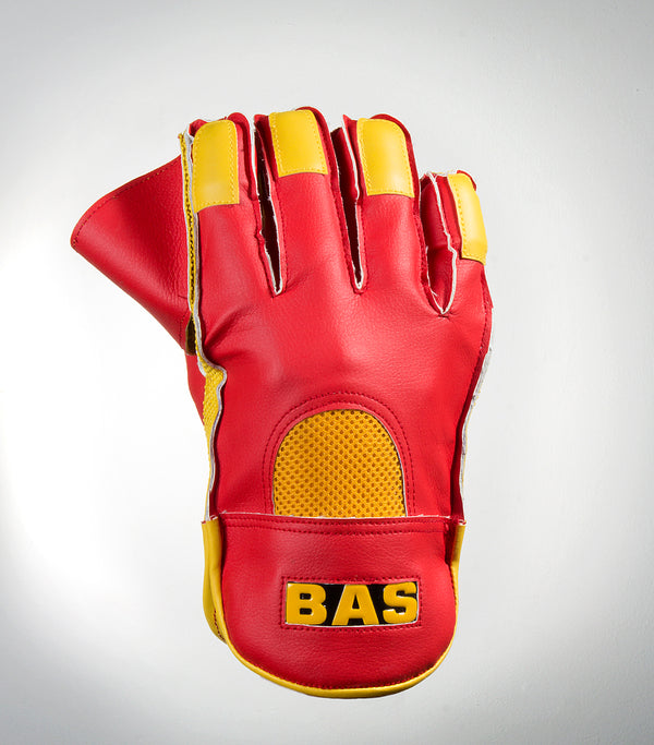 Classic Wicket Keeping Gloves